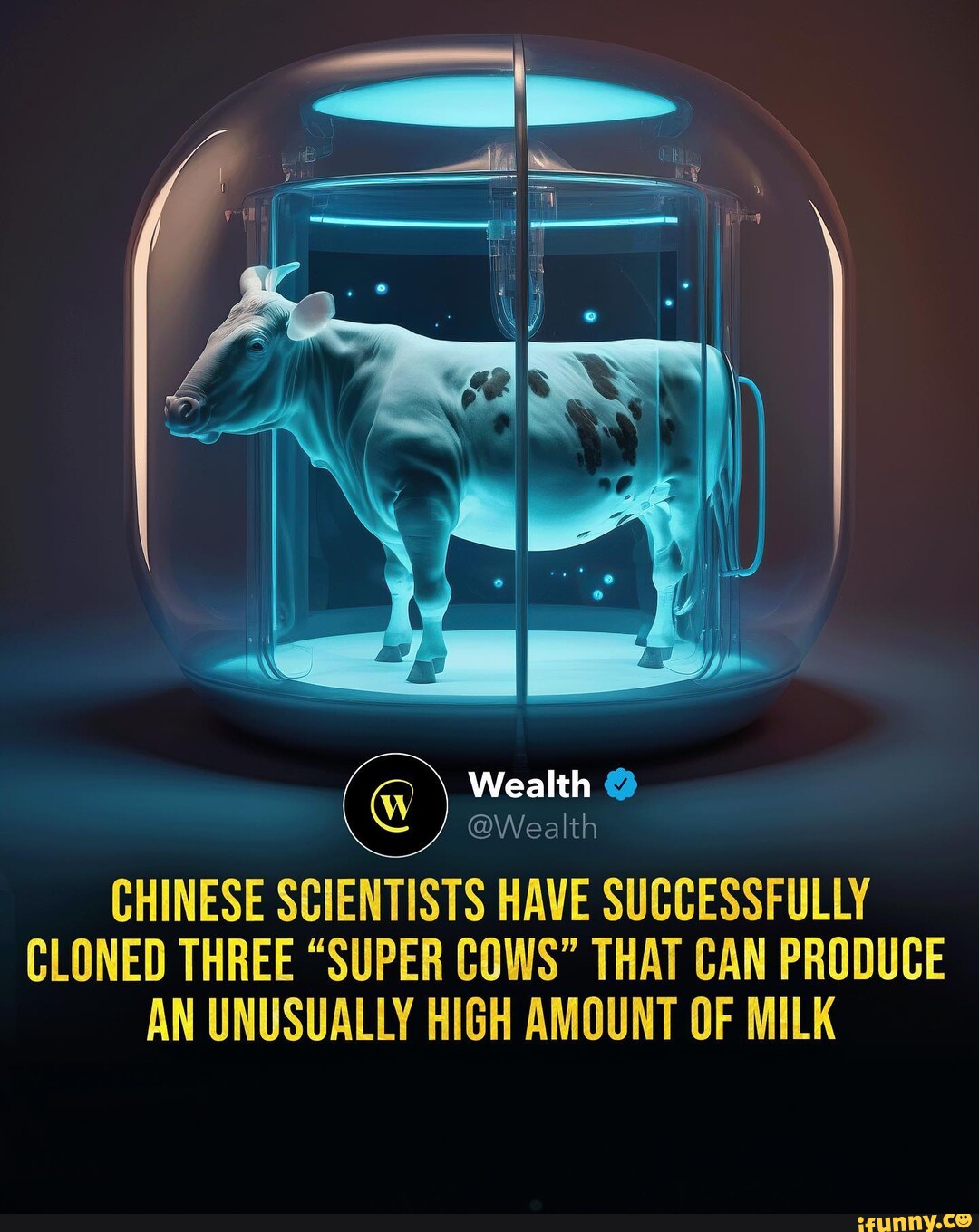 Wealth Wealth Chinese Scientists Have Successfully Cloned Three Super Cows That Can Produce