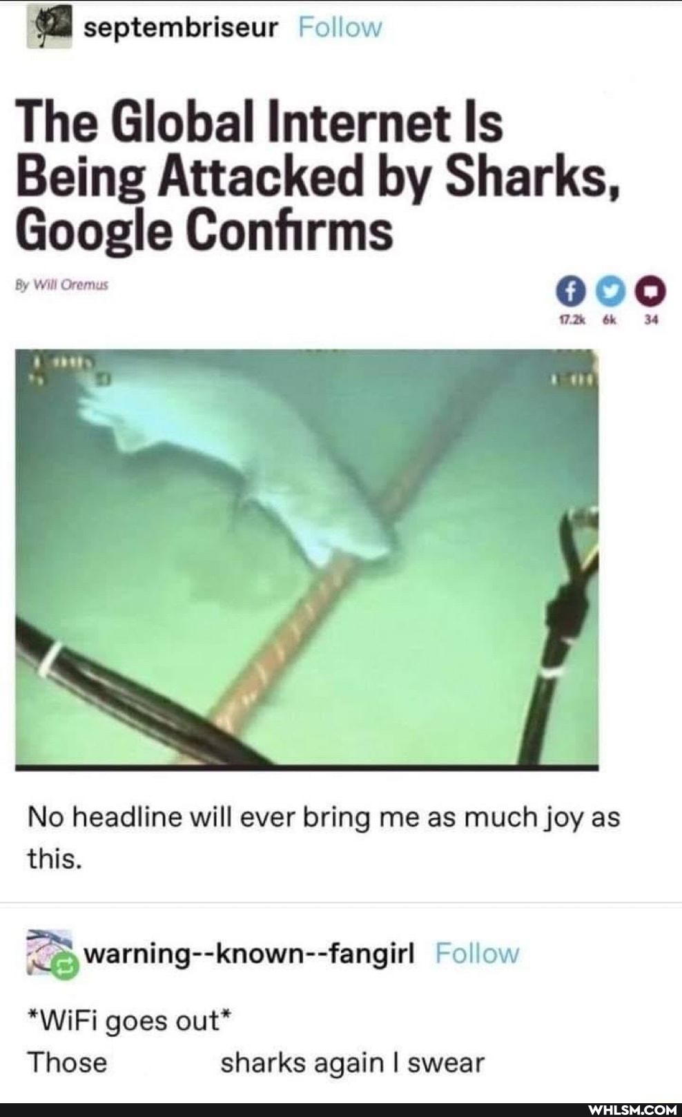 septemloriseur Follow
The Global Internet Is
Being Attacked by Sharks,
Google Confirms
000
By Will Oremus
No headline will ever bring me as much joy as this.
warning Follow
*WiFi goes out*
Those sharks again I swear