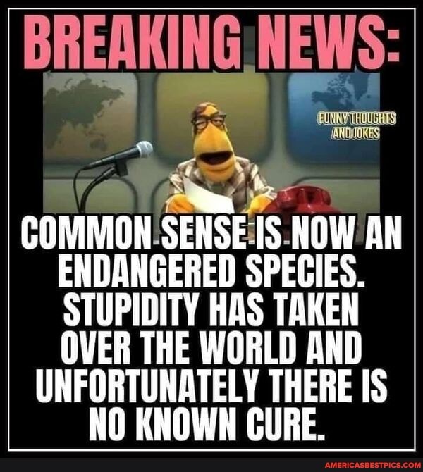 BREAKING NEWS:
COMMON SENSE IS. N AN ENDANGERED SPECIES.
STUPIDITY HAS TAKEN
OVER THE WORLD AND UNFORTUNATELY THERE IS NO KNOWN CURE.