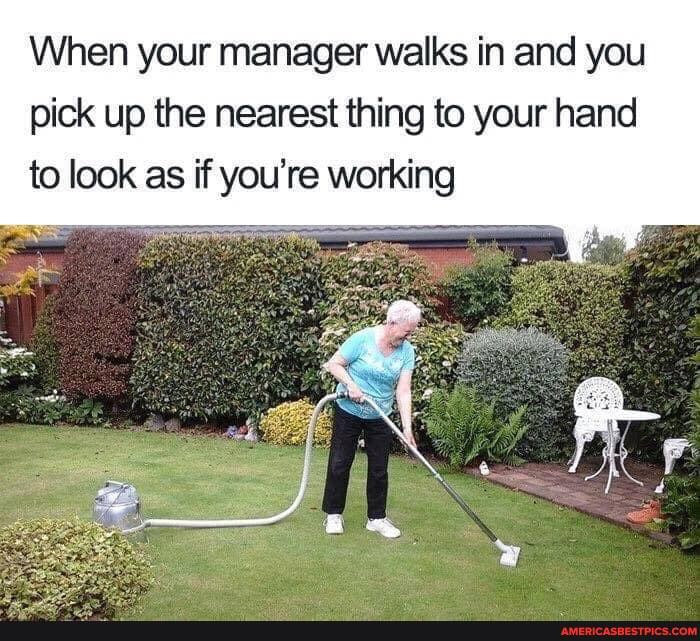 When your manager walks in and you pick up the nearest thing to your hand to look as if you're working
