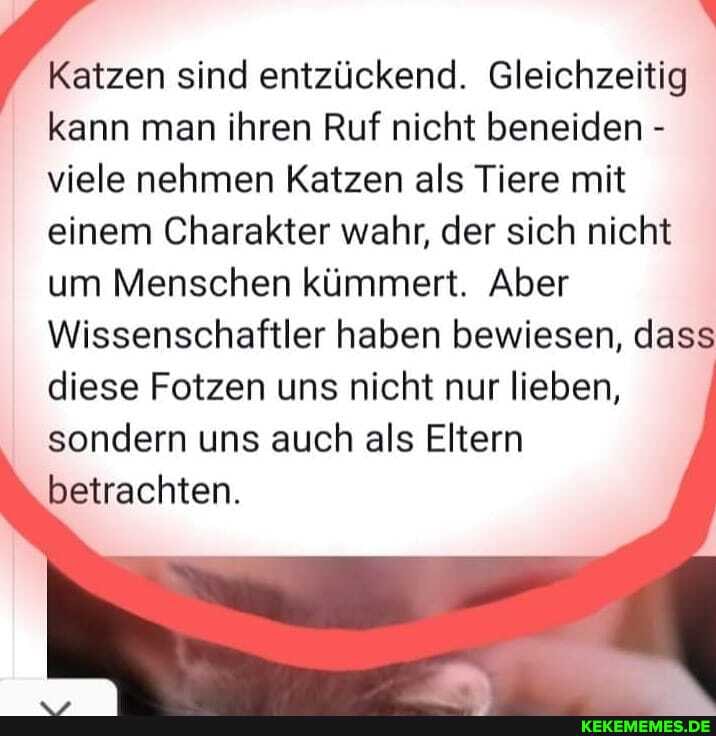 Katzen sind entzückend. Gleichzeitig kann man ihren Ruf nicht beneiden - viele nehmen Katzen als Tiere mit einem Charakter wahr, der sich nicht um Menschen kümmert. Aber
Wissenschaftler haben bewiesen, dass diese Fotzen uns nicht nur lieben, sondern uns auch als Eltern betrachten.