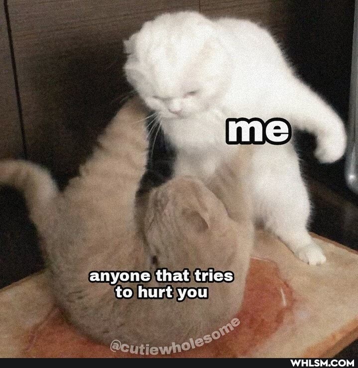 anyone that tries to hurt you