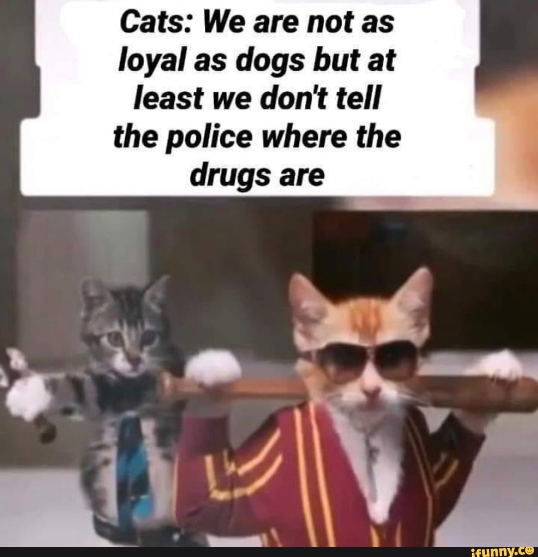 Cats We are not as loyal as dogs but at least we dont tell the police