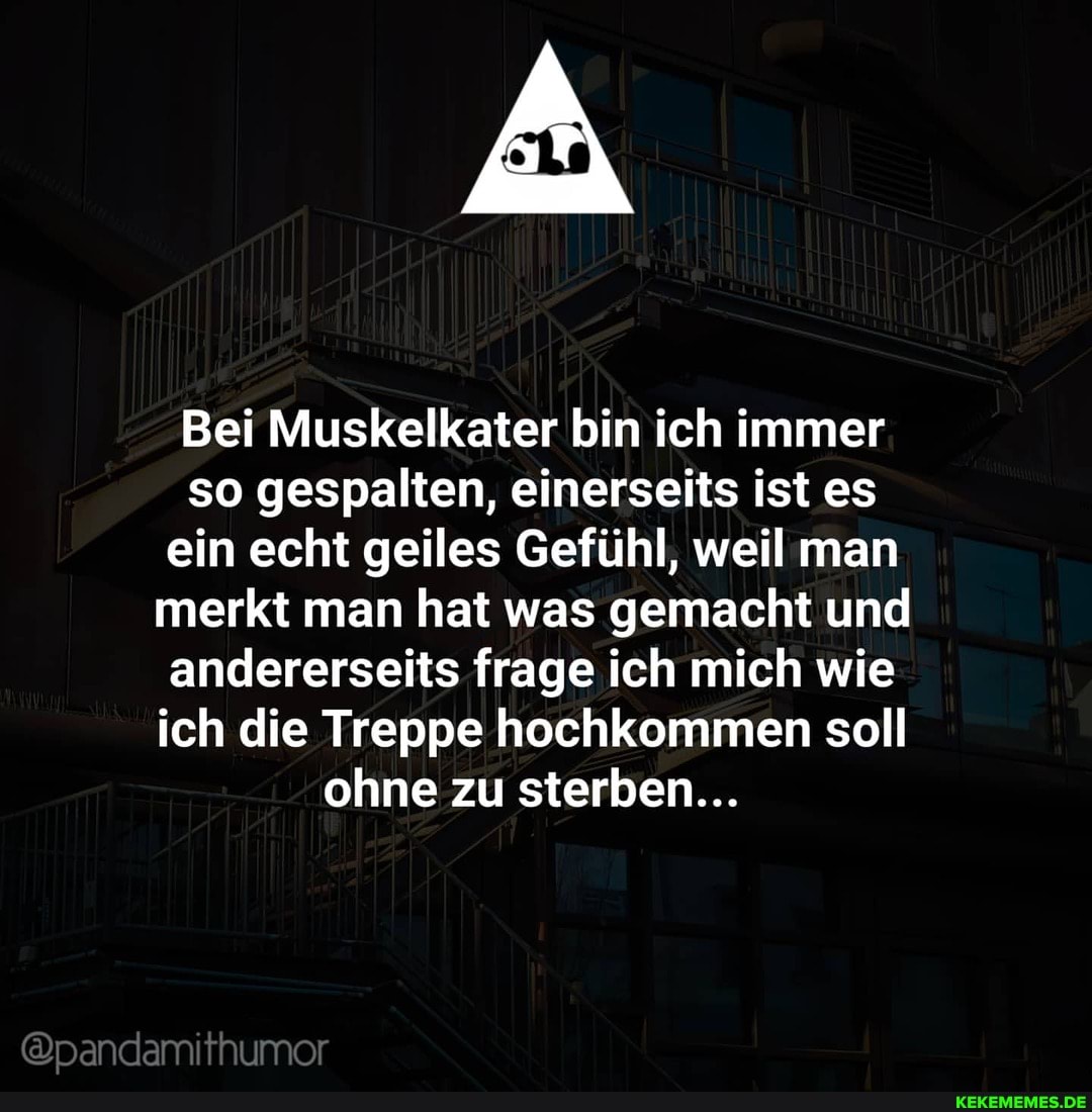 Bei Muskelkater bin ich immer so gespalten, einerseits ist es ein echt geiles Gefühl, weil man merkt man hat was gemacht und andererseits frage ich mich wie ich die Treppe hochkommen soll ohne zu sterben...
@pandamithumor