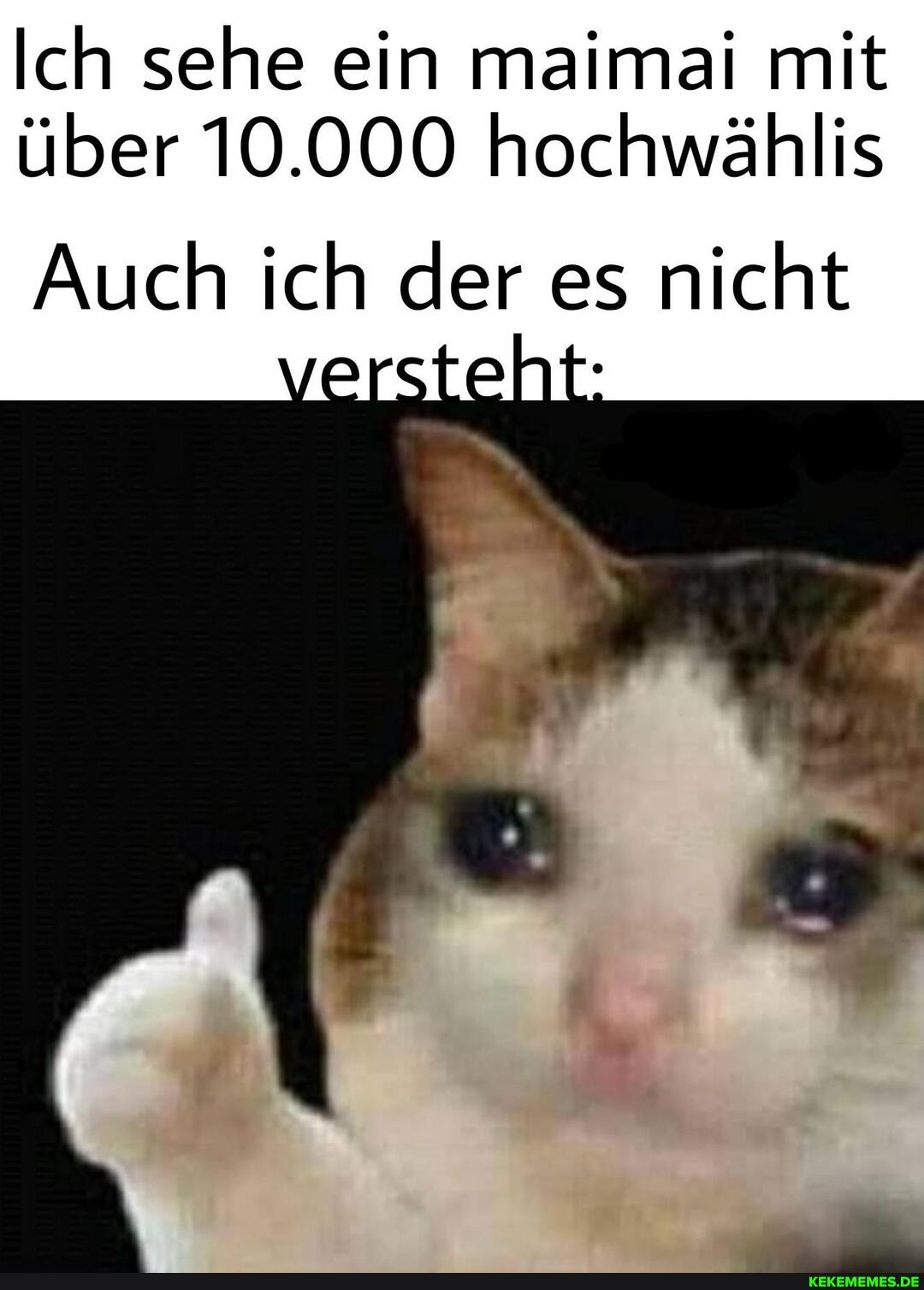 Ich sehe ein maimai mit über 10.000 hochwählis
Auch ich der es nicht