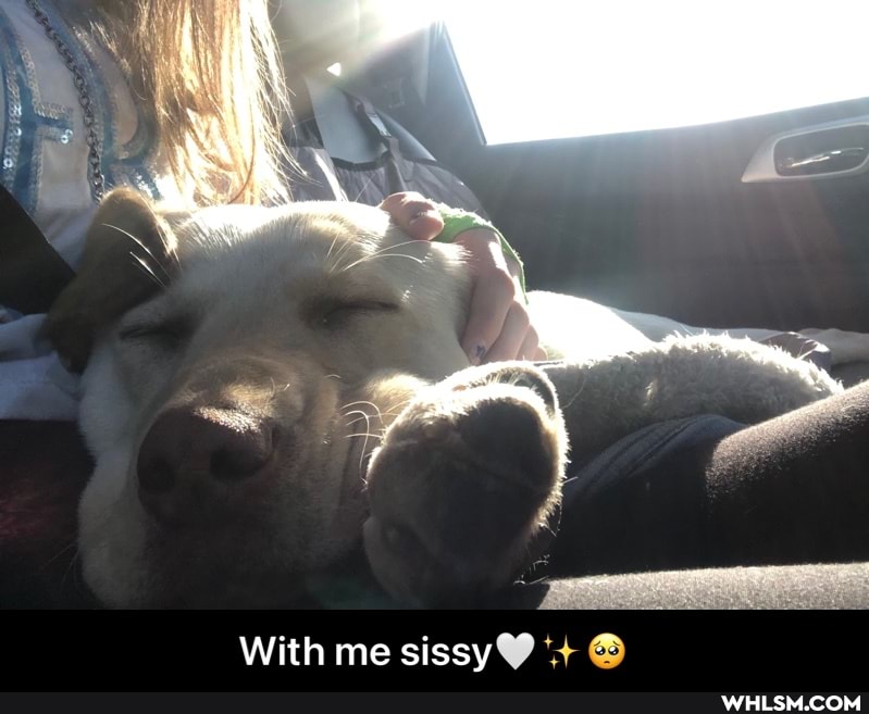 With me sissy - With me sissy🤍✨🥺
