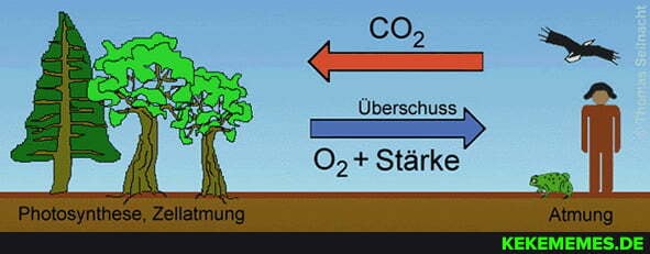 Überschuss
O,+ Stärke