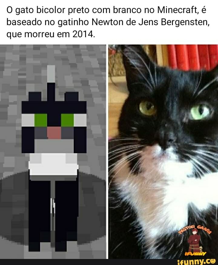 O gato bicolor preto com branco no Minecraft, é baseado no gatinho Newton de Jens Bergensten, que morreu em 2014.