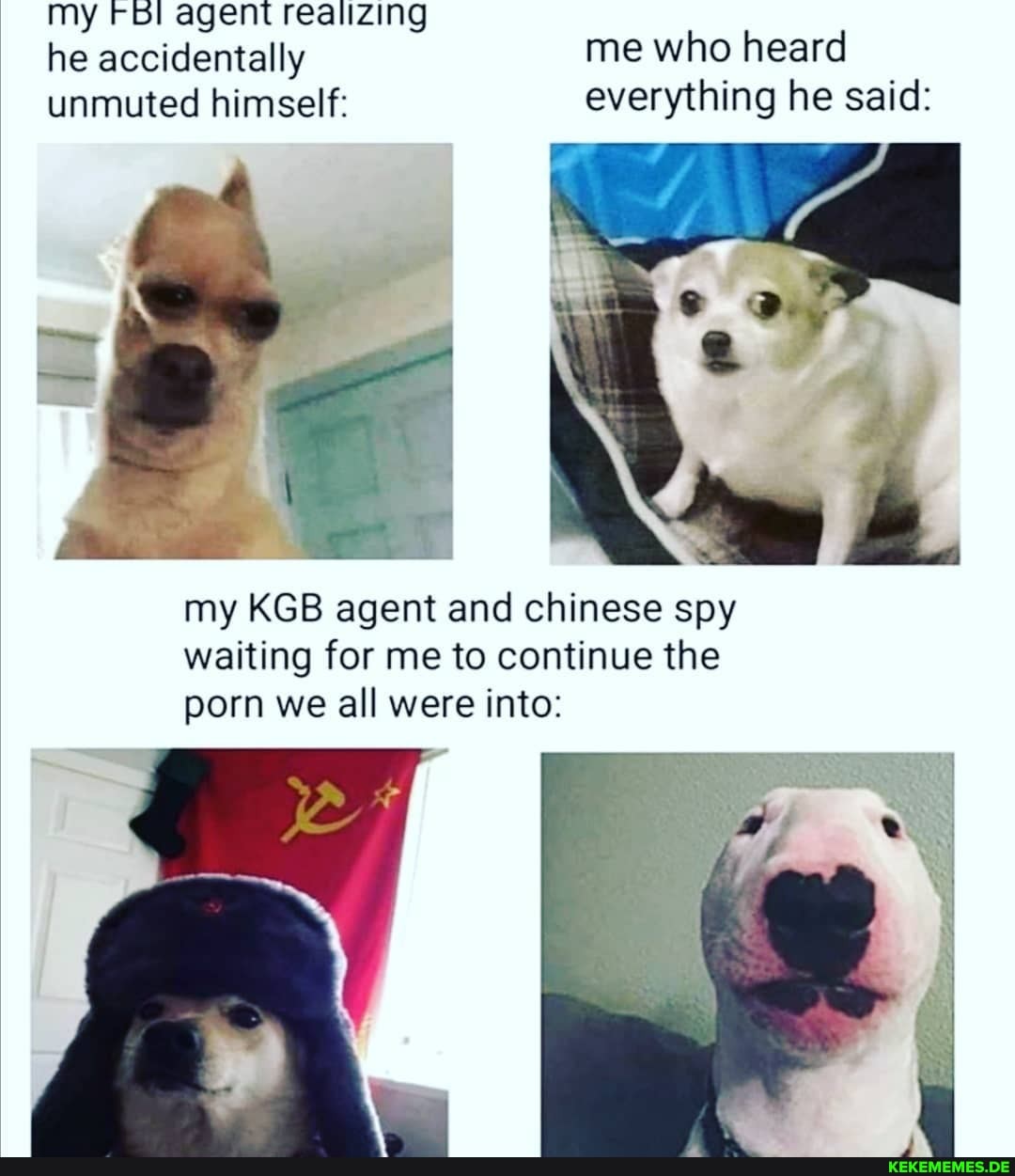 my Fol agent realizing he accidentally me who heard
unmuted himself: everything he said:
be
my KGB agent and chinese spy waiting for me to continue the porn we all were into: