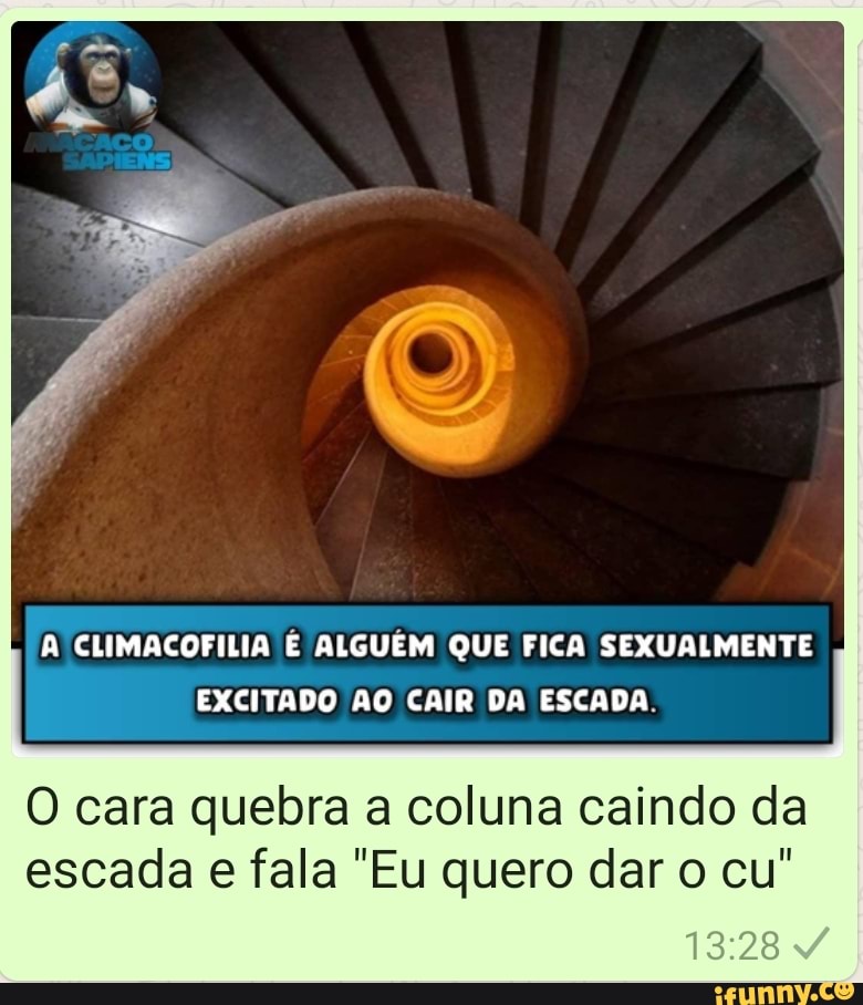 A CLIMACOFILIA É ALGUÉM QUE FICA SEXUALMENTE EXCITADO AO CAIR DA ESCADA.
O cara quebra a coluna caindo da escada e fala "Eu quero dar o cu"