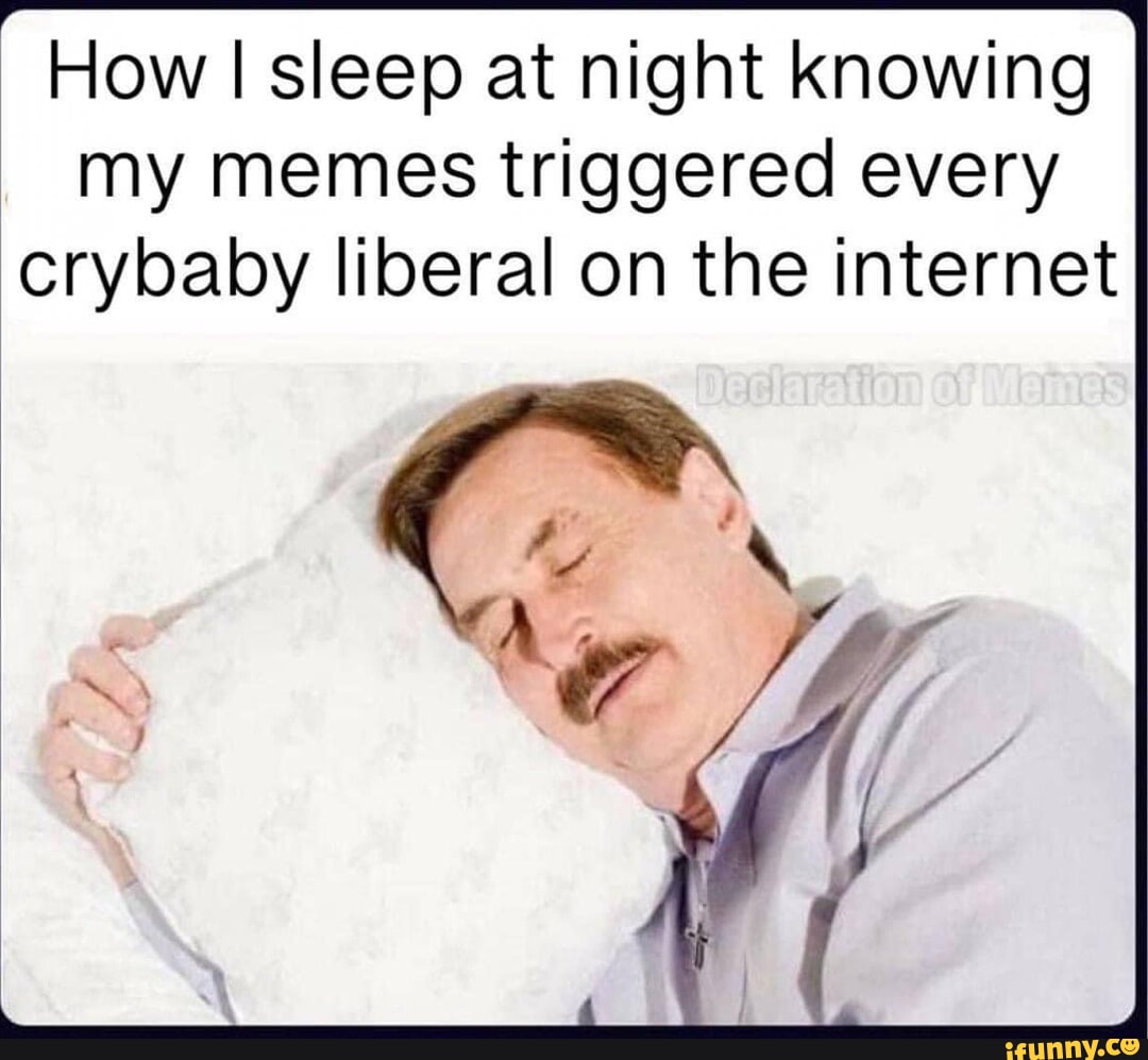 how-i-sleep-at-night-knowing-my-memes-triggered-every-crybaby-liberal