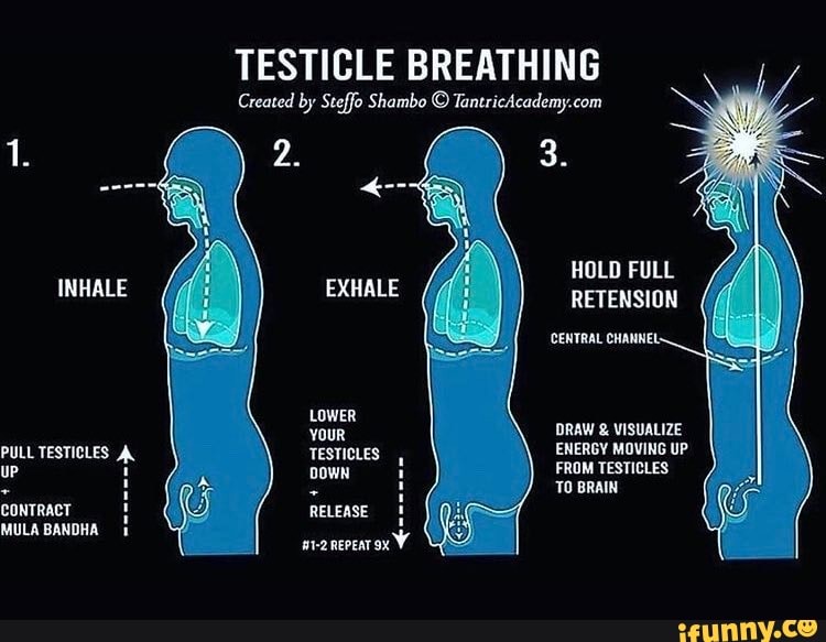 TESTICLE BREATHING Created by Steffo Shambo 1. 3. HOLD FULL INHALE ...