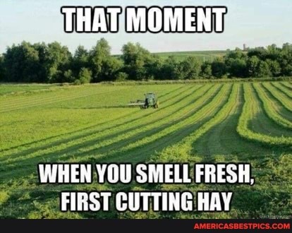 THAT MOMENT
WHEN YAU SMELL FRESH,
FIRST CUTTING HAY