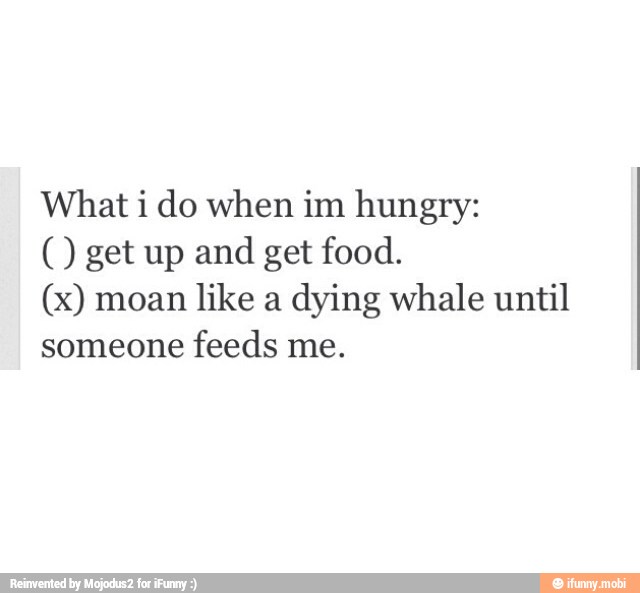 What i do when im hungry: get up and get food.
(x) moan like a dying whale until
someone feeds me.