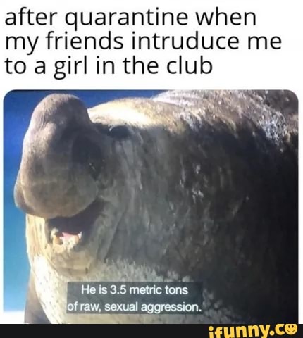 after quarantine when
my friends intruduce me
to a girl in the club
IA
He
is 3.5 metric
tons
of
raw, sexual aggression.