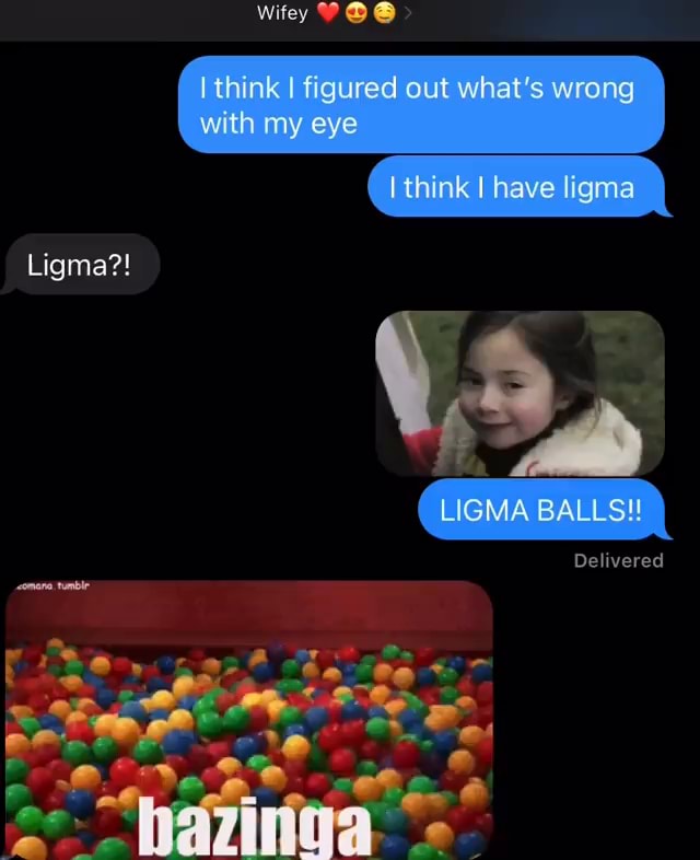 LIGMA BALLS : r/ChatGPT