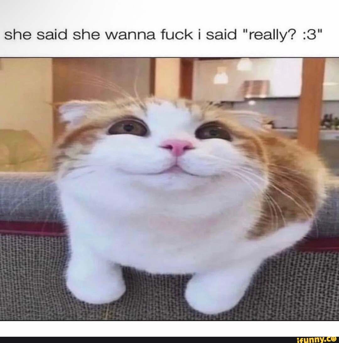 She Said She Wanna Fuck Said Really 3 Ifunny 