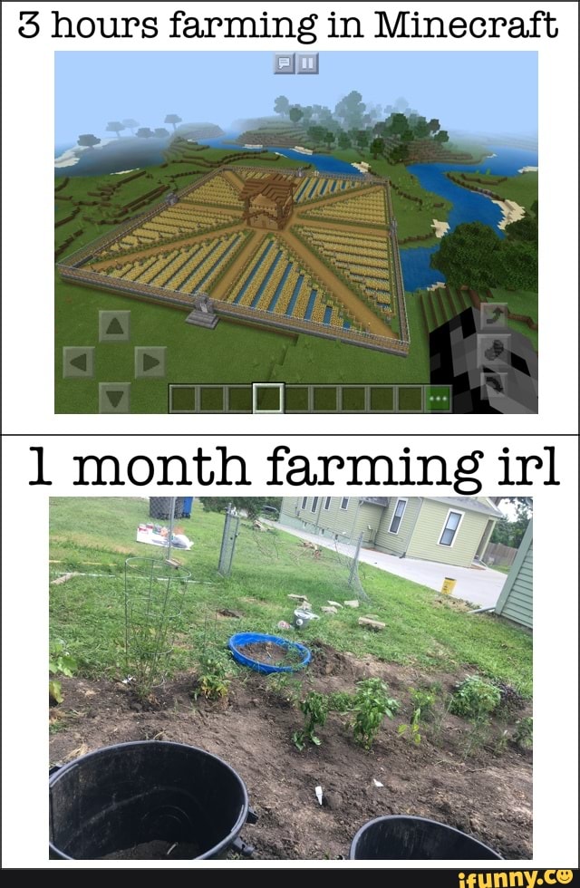 3 hours farming in Minecraft
an