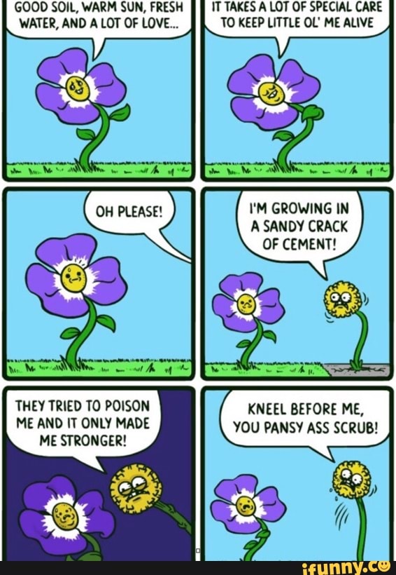 GOOD SOIL, WARM SUN, FRESH WATER, AND A LOT OF LOVE...
THEY TRIED TO POISON ME AND IT ONLY MADE ME STRONGER!
IT TAKES A LOT OF SPECIAL CARE TO KEEP LITTLE OL' ME ALIVE
\'M GROWING IN A SANDY CRACK OF CEMENT!
KNEEL BEFORE ME,
YOU PANSY ASS SCRUB!