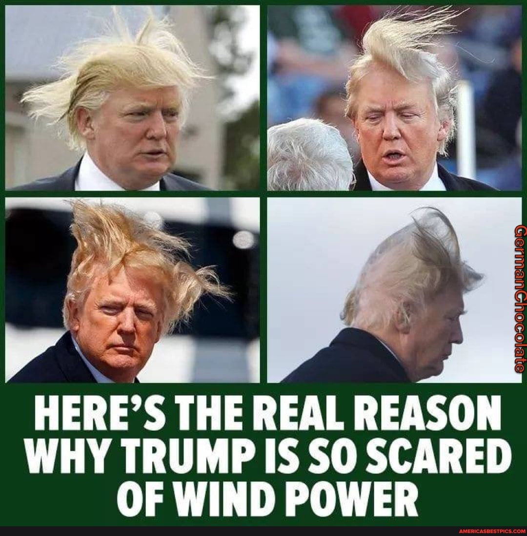 HERE'S THE REAL REASON WHY TRUMP IS SO SCARED OF WIND POWER America’s