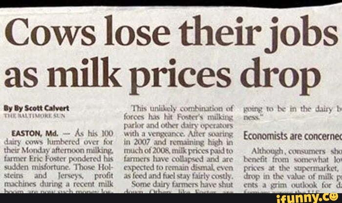 Cows lose their jobs as milk prices drop By By Scott Calvert THUE ...