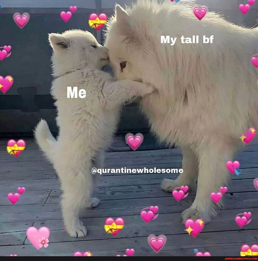 Me
My tall bf
iaqurantinewholesome
ON