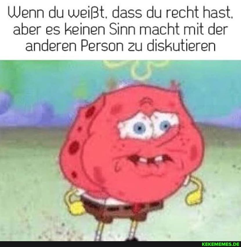 Wenn du weißt, dass du recht hast, aber es keinen Sinn macht mit der anderen Person zu diskutieren
