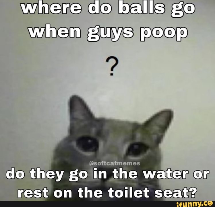 Where do balls go when guys poop soft atmemes do they go in the water