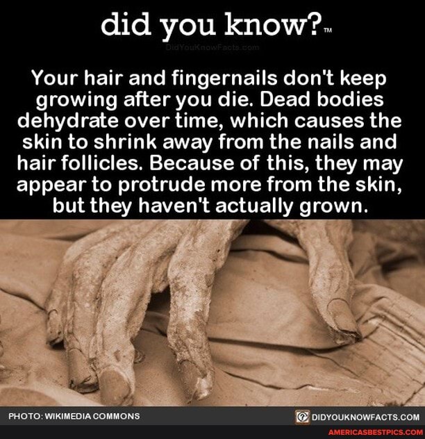Did you know?.. Your hair and fingernails don't keep growing after you