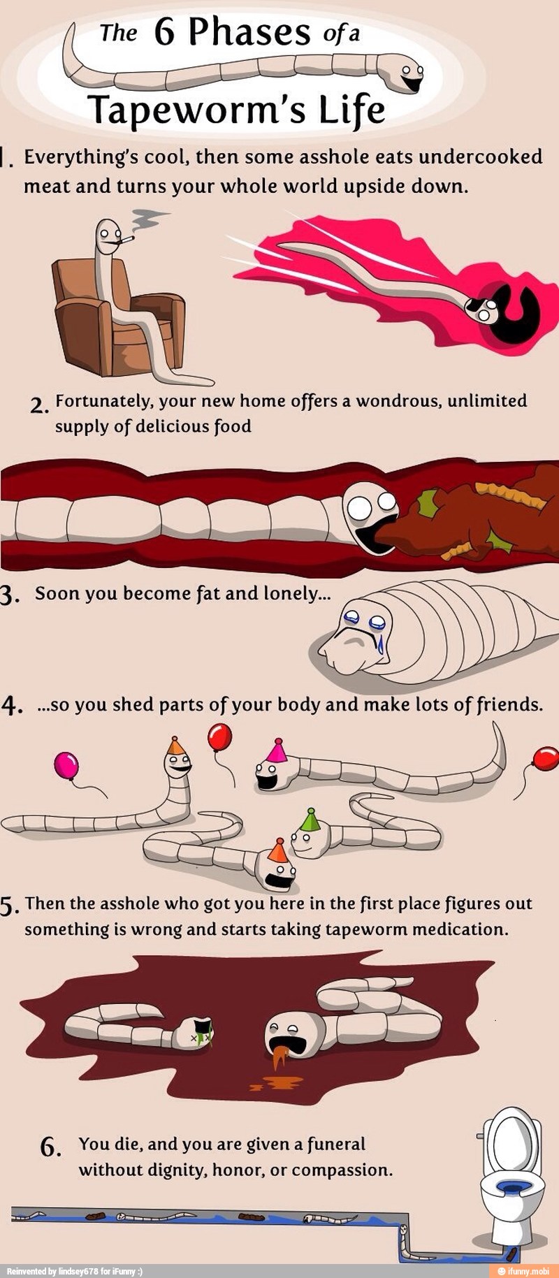 The 6 Phases ofa
Tapeworm's Life
I. Everything's cool, then some asshole eats undercooked
meat and turns your whole world upside down.
2. Fortunately, your new home offers a wondrous, unlimited
supply of delicious food
4. ...so you shed parts of your body and make lots of friends.
5. Then the asshole who got you here in the first place figures out
something is wrong and starts taking tapeworm medication.