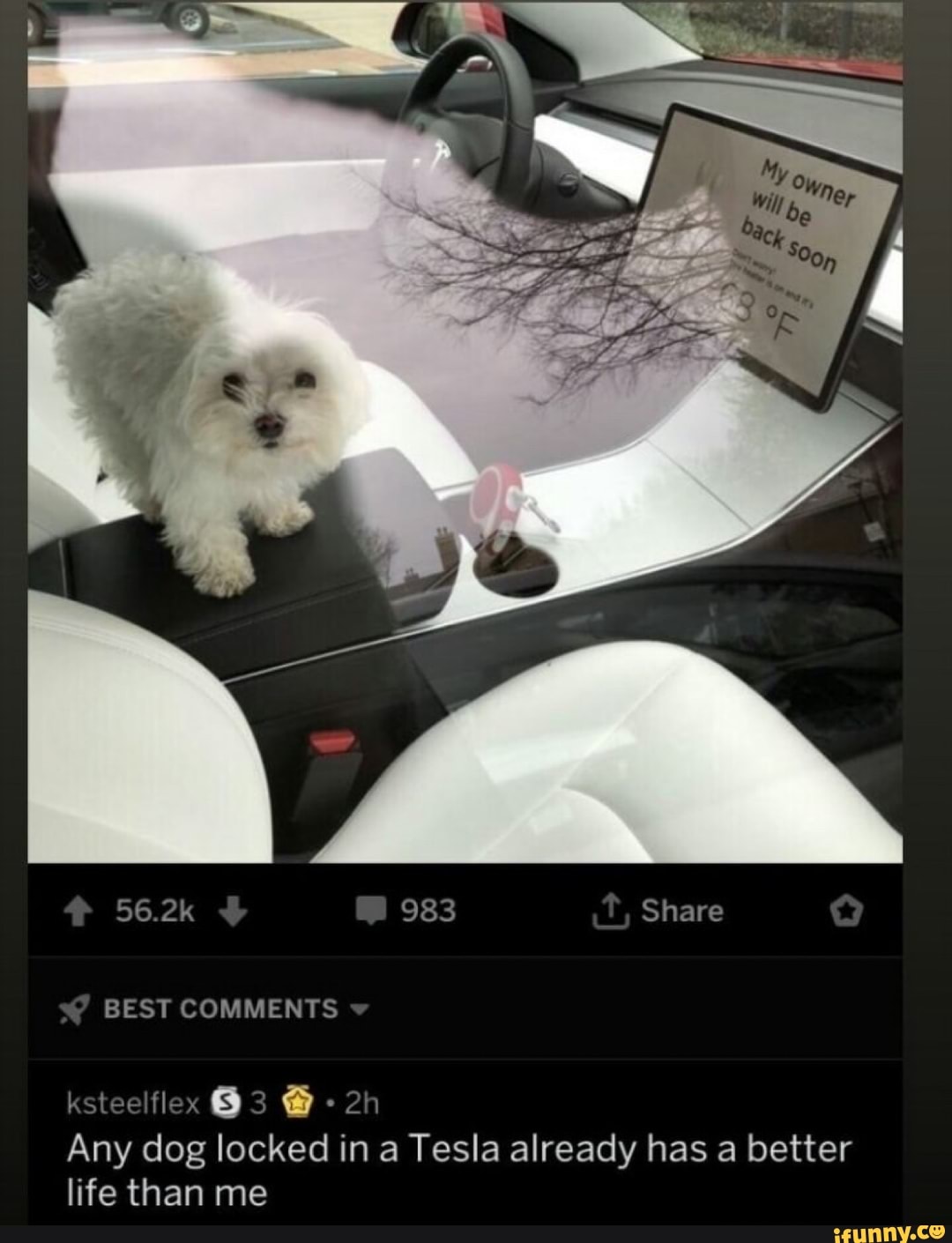 983 Share
BEST COMMENTS
ksteelflex
Any dog locked in a Tesla already has a better life than me
