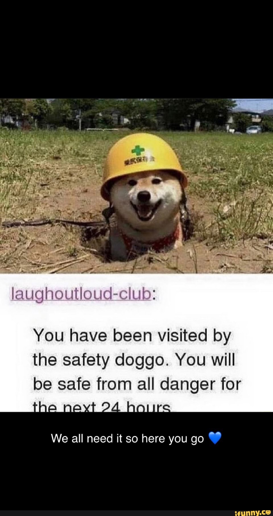 Dy
laughoutloud-club:
You have been visited by the safety doggo. You will be safe from all danger for
Tie ale
We all need it so here you go