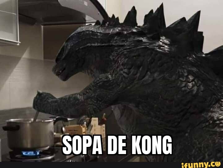 SOPA DE KONG