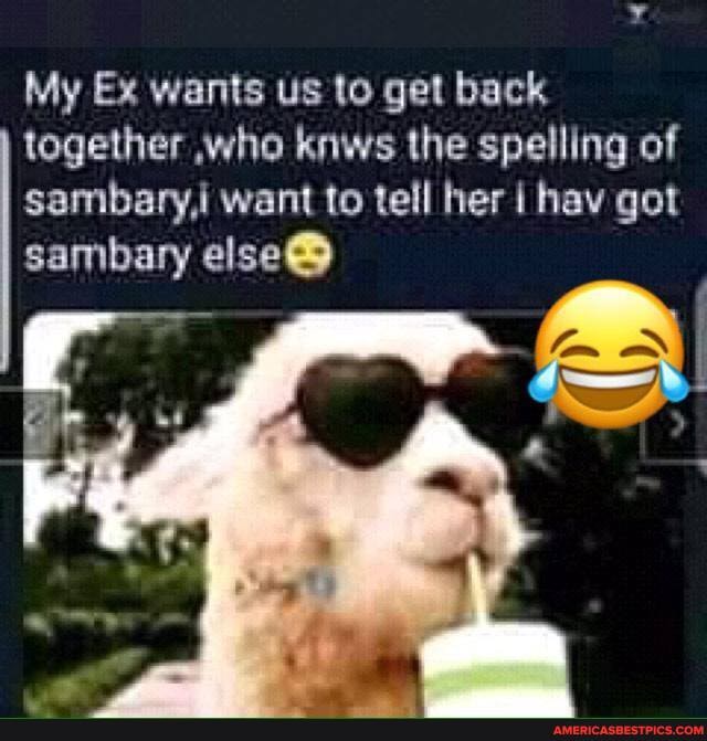 My Ex wants us to get back together ,who knws the spelling of samibary,i want to tell her I hav got sambary