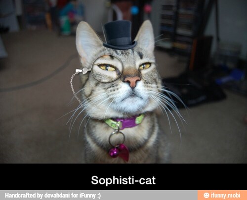 Sophisti-cat