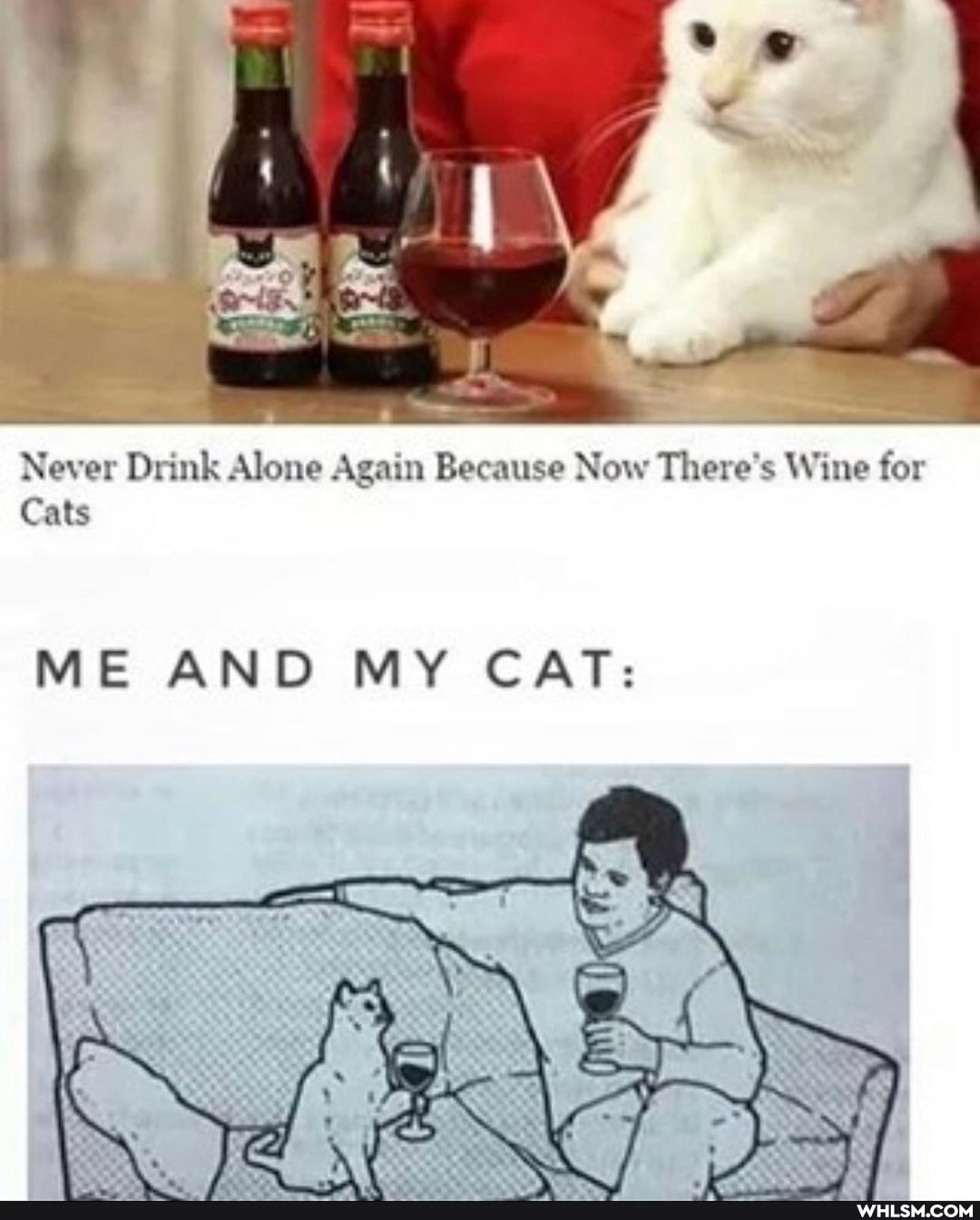 Never Drink Alone Again Because Now There's Wine for
Cats
ME AND MY CAT: