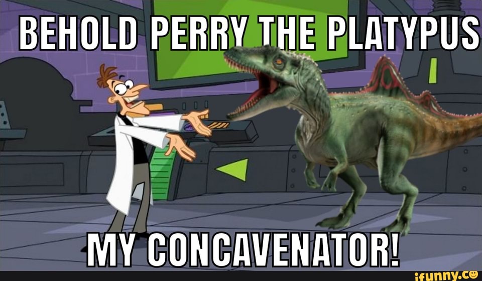 BEHOLD PERRY THE PLATYPUS NIV CONC AVENATNRI - iFunny