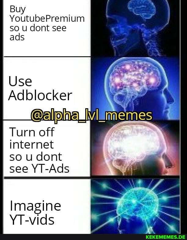 Buy
YoutubePremium so u dont see
ads
Use
Adblocker
Turn off
internet
so u dont see YT-Ads
Imagine
YT-vids