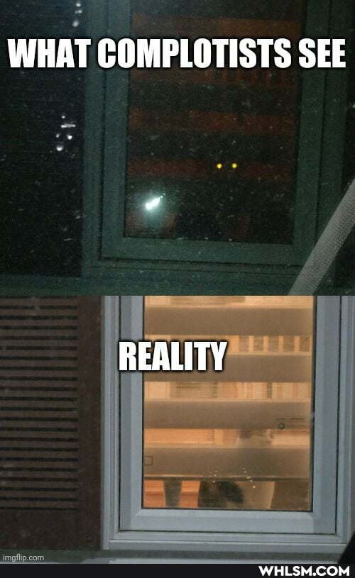 WHAT COMPLOTISTS SEE
REALITY