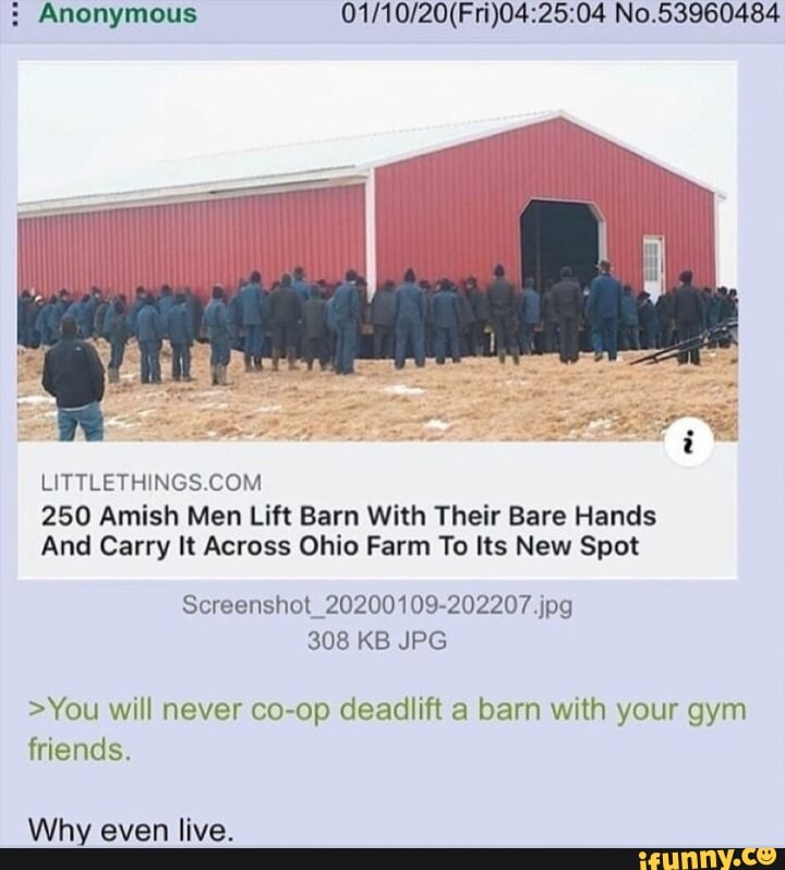 Anonymous 01/10/20(Fri)04:25:04 No.53960484
LITTLETHINGS.COM
250 Amish Men Lift Barn With Their Bare Hands
And Carry It Across Ohio Farm To Its New Spot
Screenshot 20200109-202207.jpg
>You will never co-op deadlift a barn with your gym
friends.
Why live.