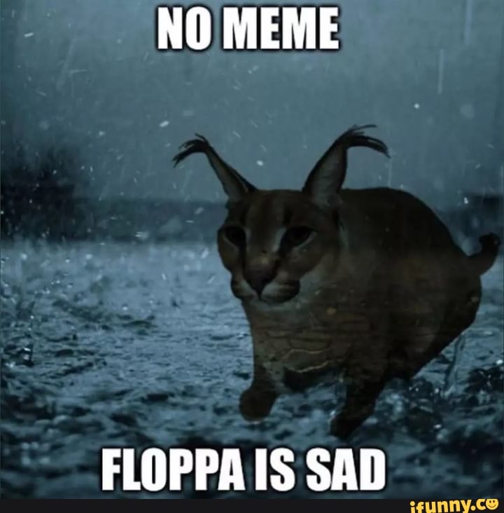 Floppa is kil (sad) : r/memes