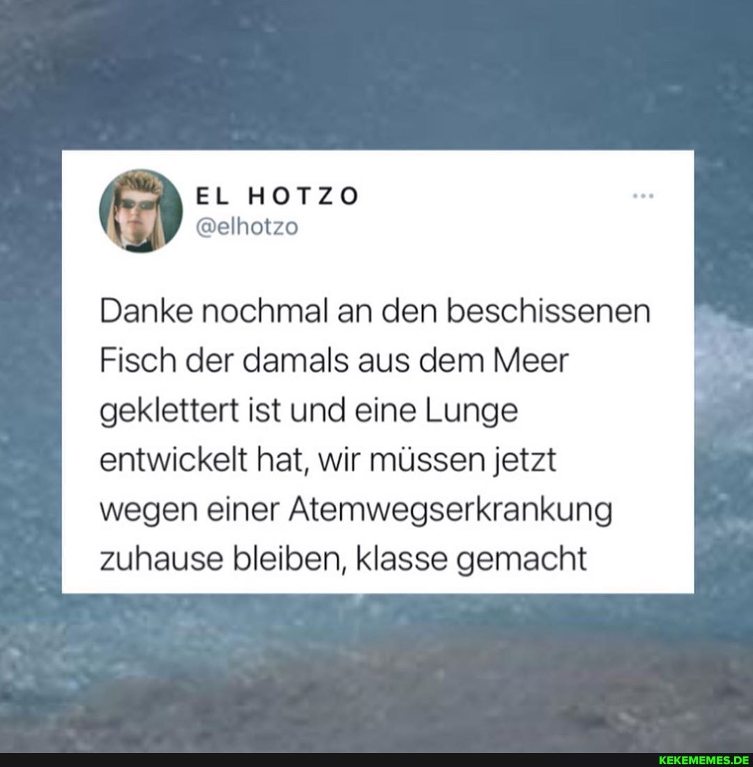 EL HOTZO
@elhotzo
Danke nochmal an den beschissenen
Fisch der damals aus dem Meer
geklettert ist und eine Lunge entwickelt hat, wir müssen jetzt wegen einer Atemwegserkrankung zuhause bleiben, klasse gemacht