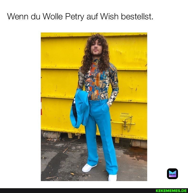 Wenn du Wolle Petry auf Wish bestellst.