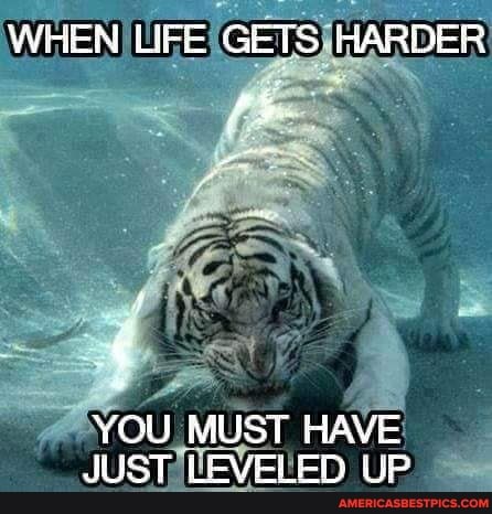 WHEN LIFE GETS HARDER
MUS HAVE
YOU UST ELED UP