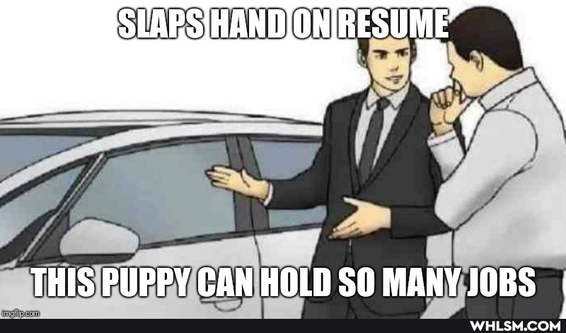 THIS PUPPY CAN HOLD SO MANY JOBS