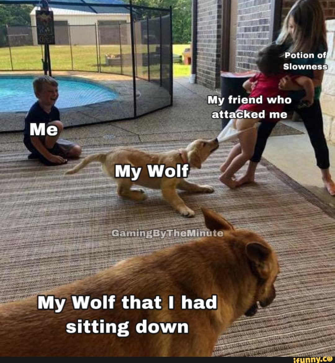 My Wolf That I Had Sitting Down Ifunny 