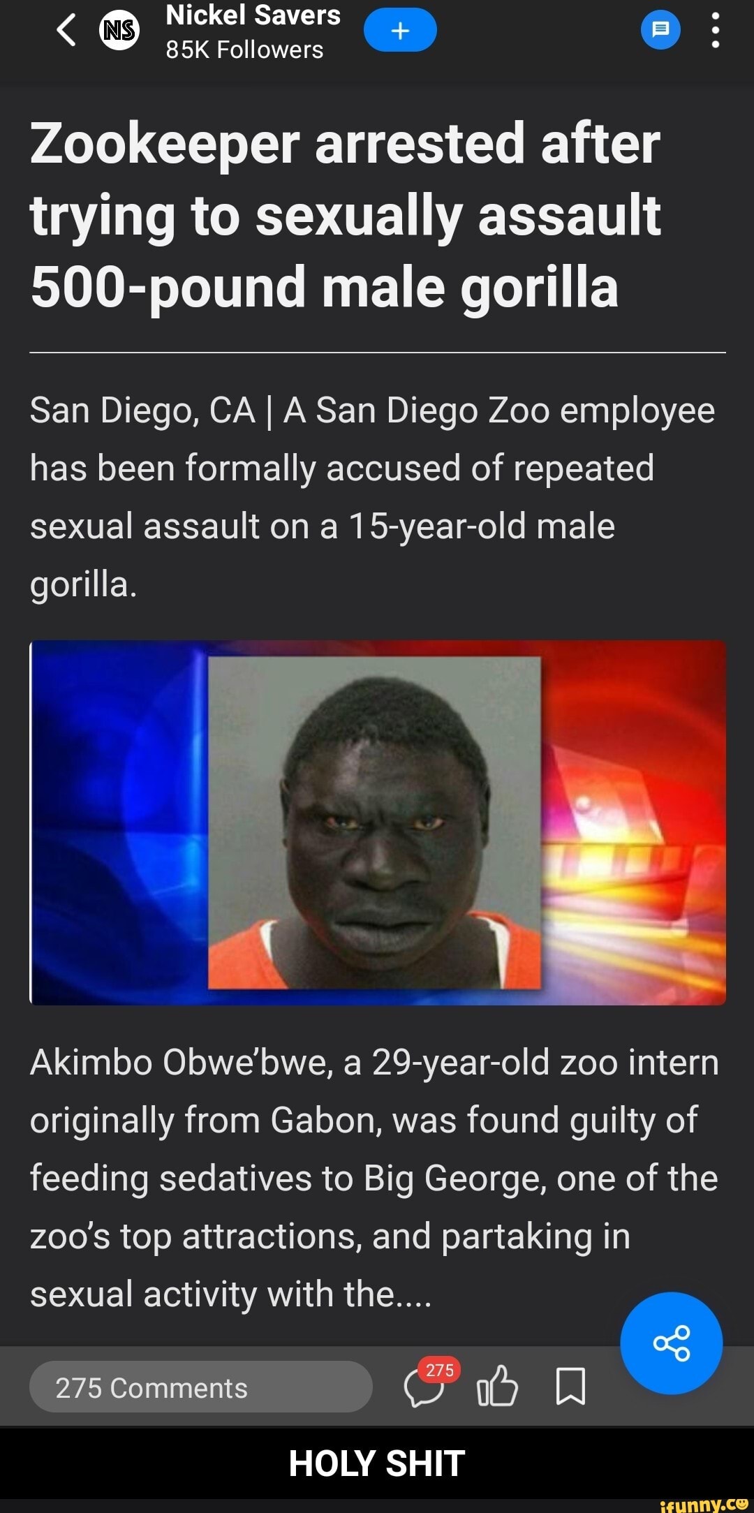 NS Nickel Savers
Followers
Zookeeper arrested after trying to sexually assault
500-pound male gorilla
San Diego, CA I A San Diego Zoo employee has been formally accused of repeated sexual assault on a 15-year-old male gorilla.
Akimbo Obwe'bwe, a 29-year-old zoo intern originally from Gabon, was found guilty of feeding sedatives to Big George, one of the zoo's top attractions, and partaking in sexual activity with the....
275
275 Comments
HOLY SHIT - HOLY SHIT