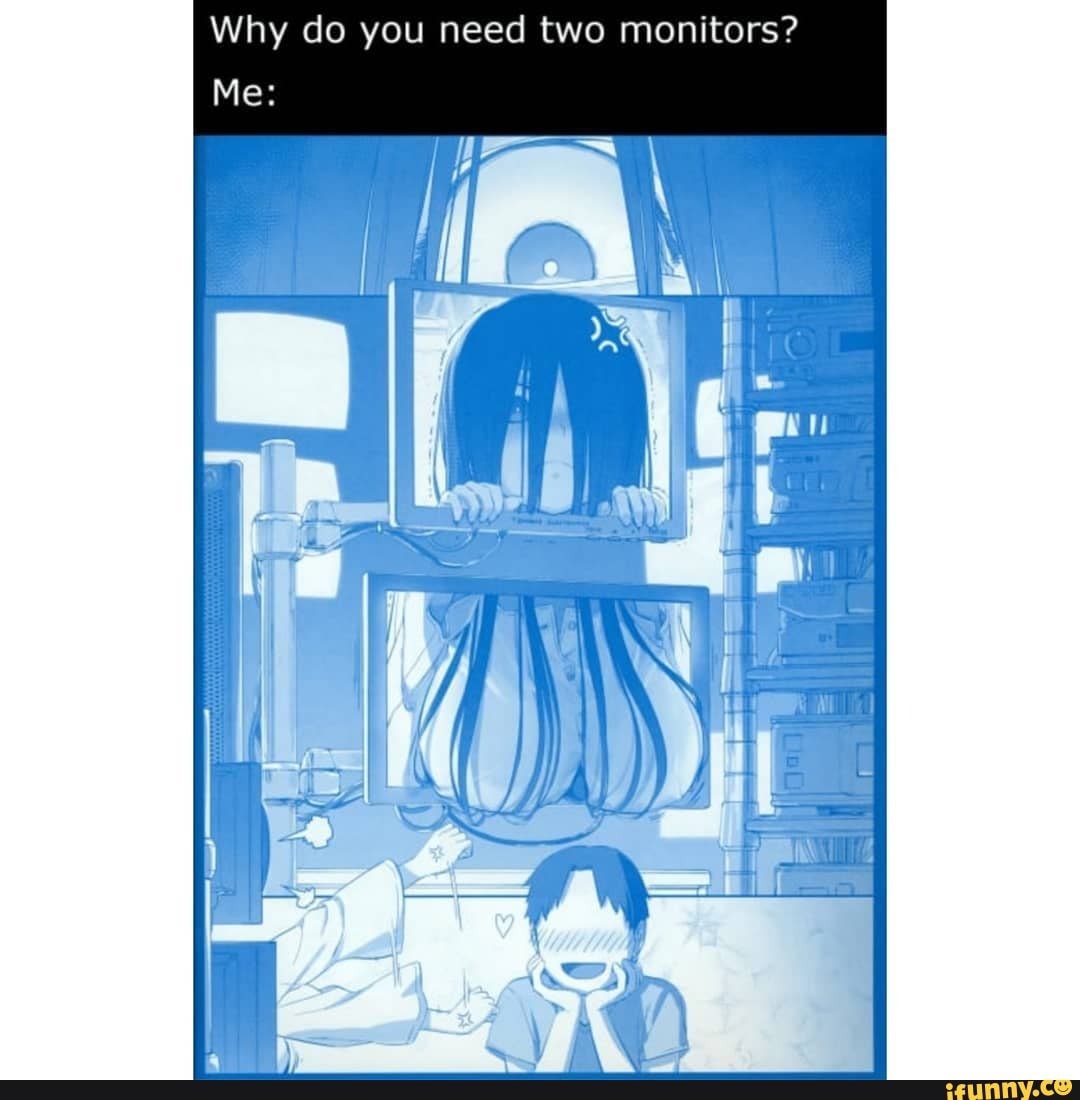Why do you need two monitors?
Me: