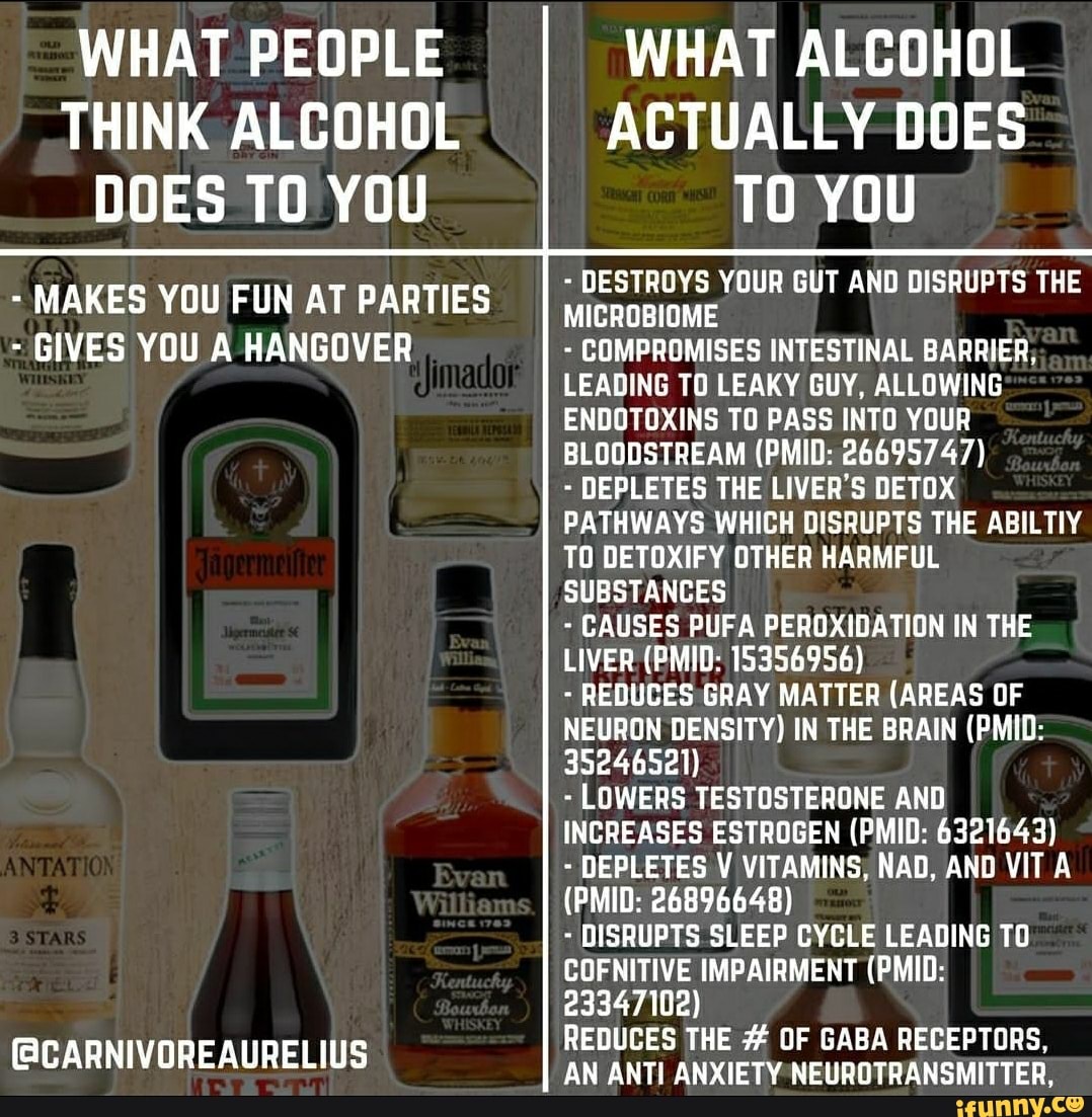 Ccarnivoreaurelius memes. Best Collection of funny Ccarnivoreaurelius