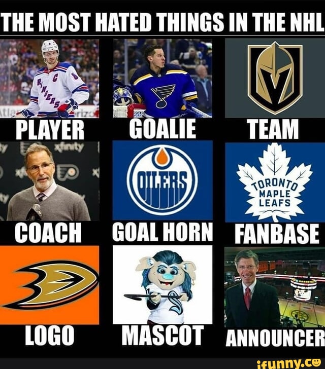 funny hockey goalie memes